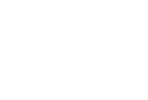 100 Black Men of North Metro, Inc.